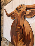Boone the Segmented Longhorn