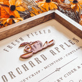 Fresh Picked Gettysburg Orchard Apples