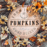 Farm Fresh Local Pumpkins