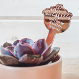 "Say It" Planter Stakes for Succulents and House Plants