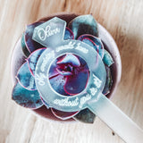 "Say It" Planter Stakes for Succulents and House Plants