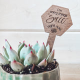 "Say It" Planter Stakes for Succulents and House Plants