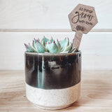 "Say It" Planter Stakes for Succulents and House Plants