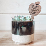 "Say It" Planter Stakes for Succulents and House Plants