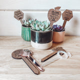 "Say It" Planter Stakes for Succulents and House Plants