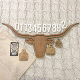 4-in-1 Baby Milestone Set - Longhorn/Cow