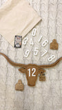 4-in-1 Baby Milestone Set - Longhorn/Cow