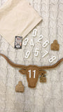 4-in-1 Baby Milestone Set - Longhorn/Cow