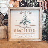 Fresh Local Mistletoe