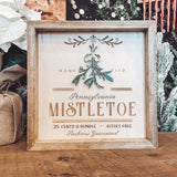 Fresh Pennsylvania Local Mistletoe