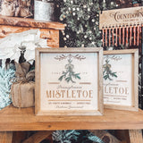 Fresh Pennsylvania Local Mistletoe