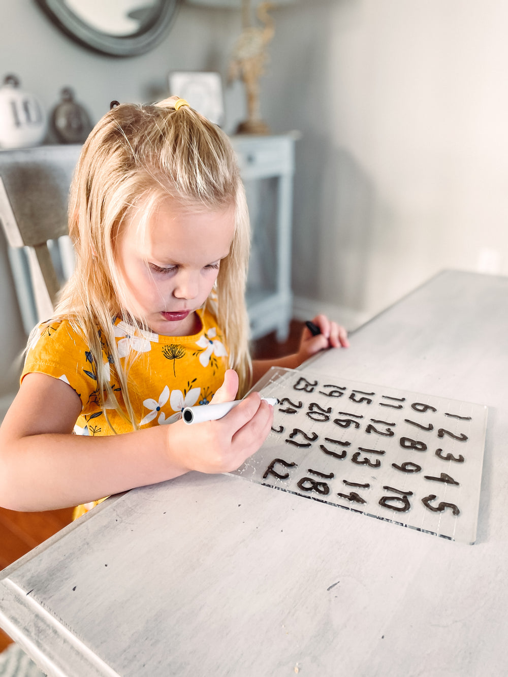 Acrylic Kids Traceable Writing  Boards