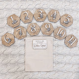 Floral Milestone Prop for Baby