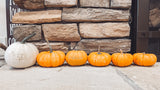 Pumpkin Engraving! **LOCAL PICKUP IN HANOVER, PA**