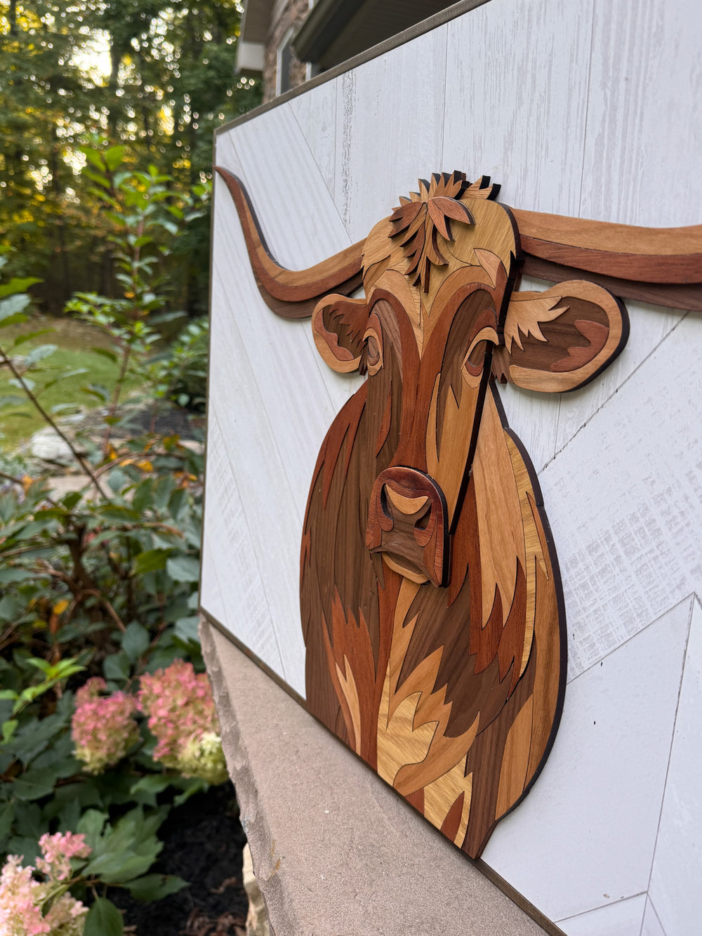 Boone the Segmented Longhorn