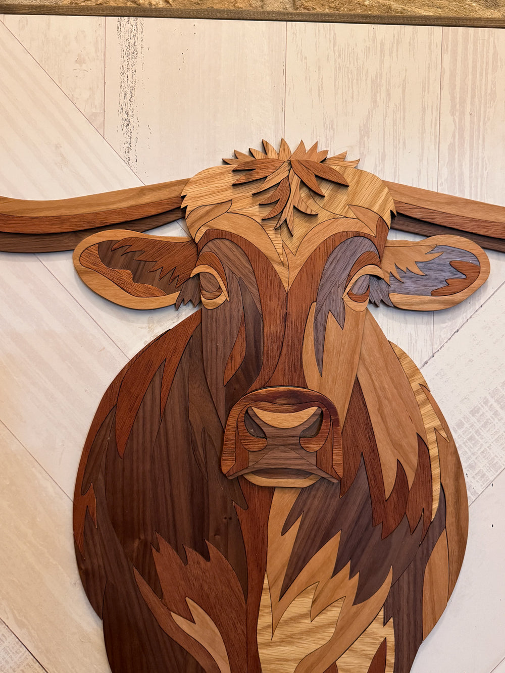 Boone the Segmented Longhorn