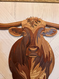 Boone the Segmented Longhorn
