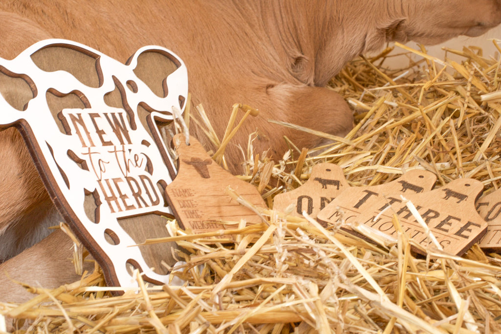 Cow + Cattle Tag Theme Milestone Markers – Script and Grain