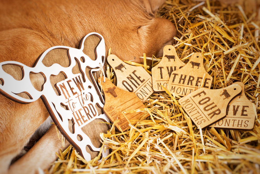 Cow + Cattle Tag Theme Milestone Markers – Script and Grain