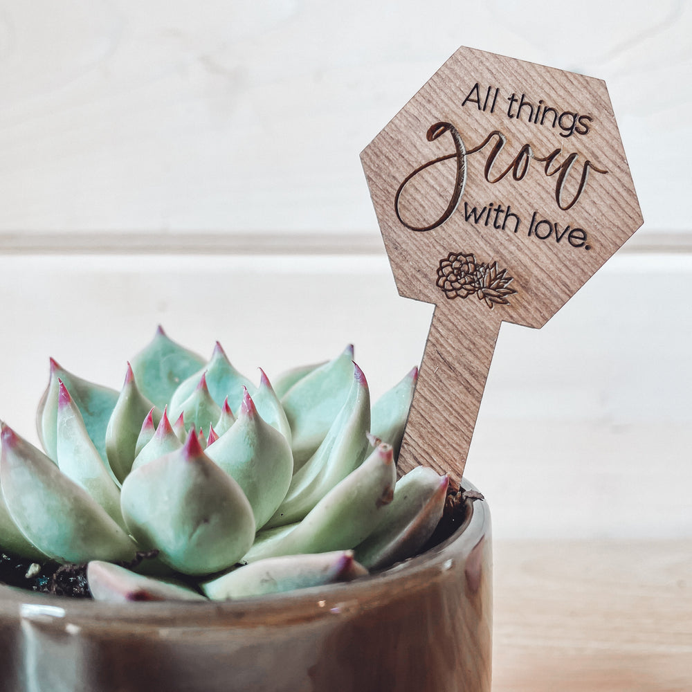 stakes for house plants Say It Planter Stakes for Succulents and House Plants Thank you for helping me grow! / Frosted Acrylic