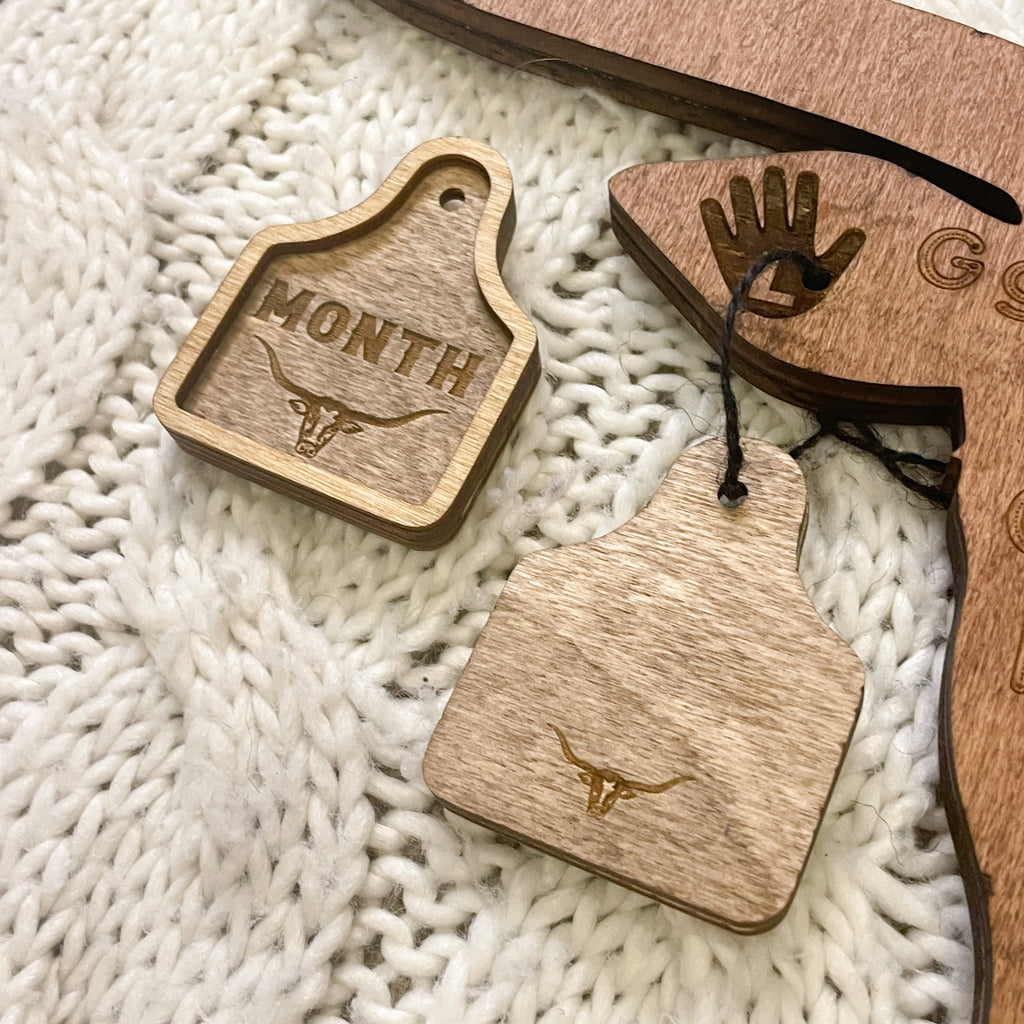 4-in-1 Baby Milestone Set - Longhorn/Cow – Script and Grain