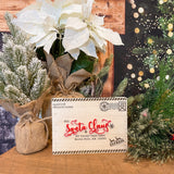 Letter to the North Pole Seasonal Decor