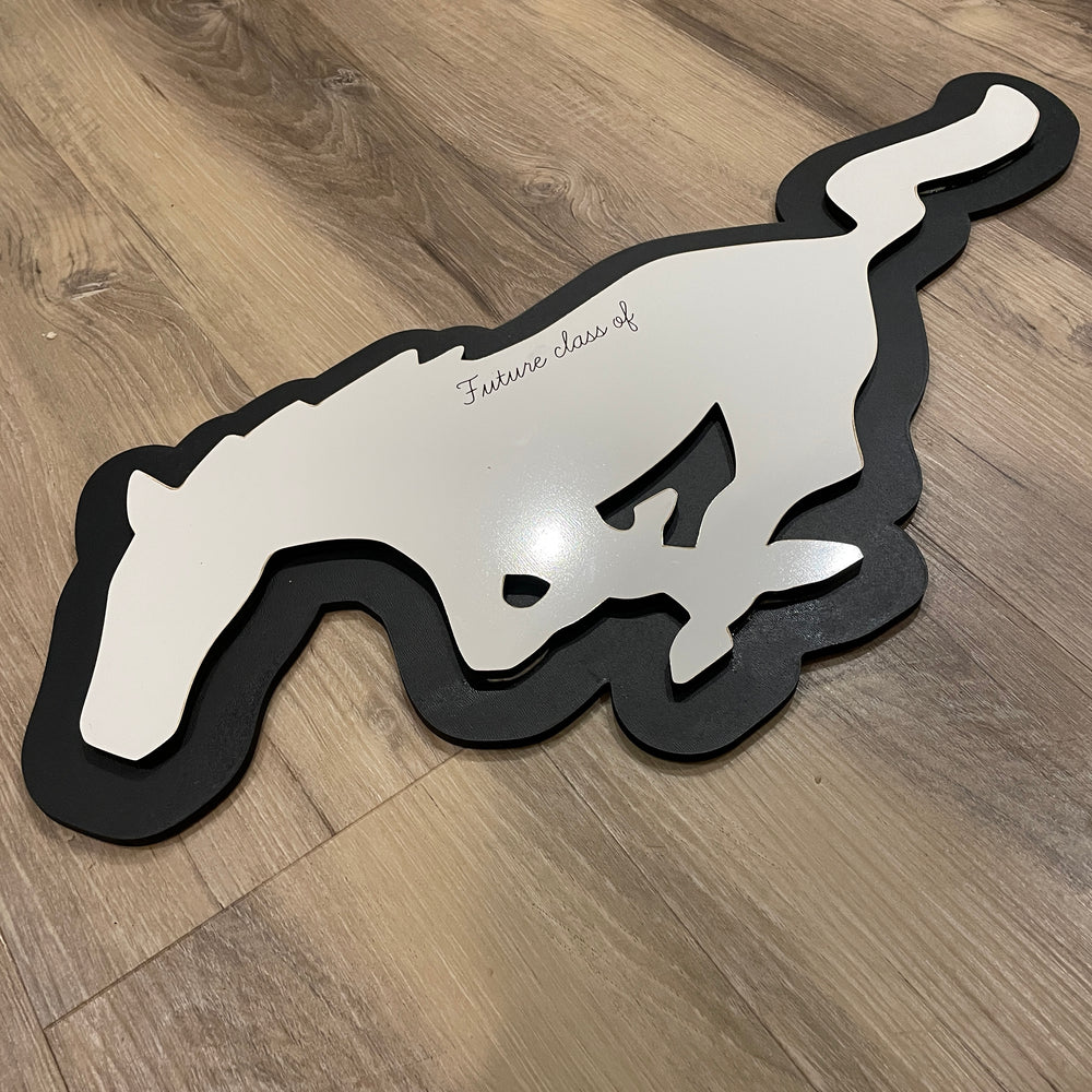 Future Class of... Whiteboard Signs