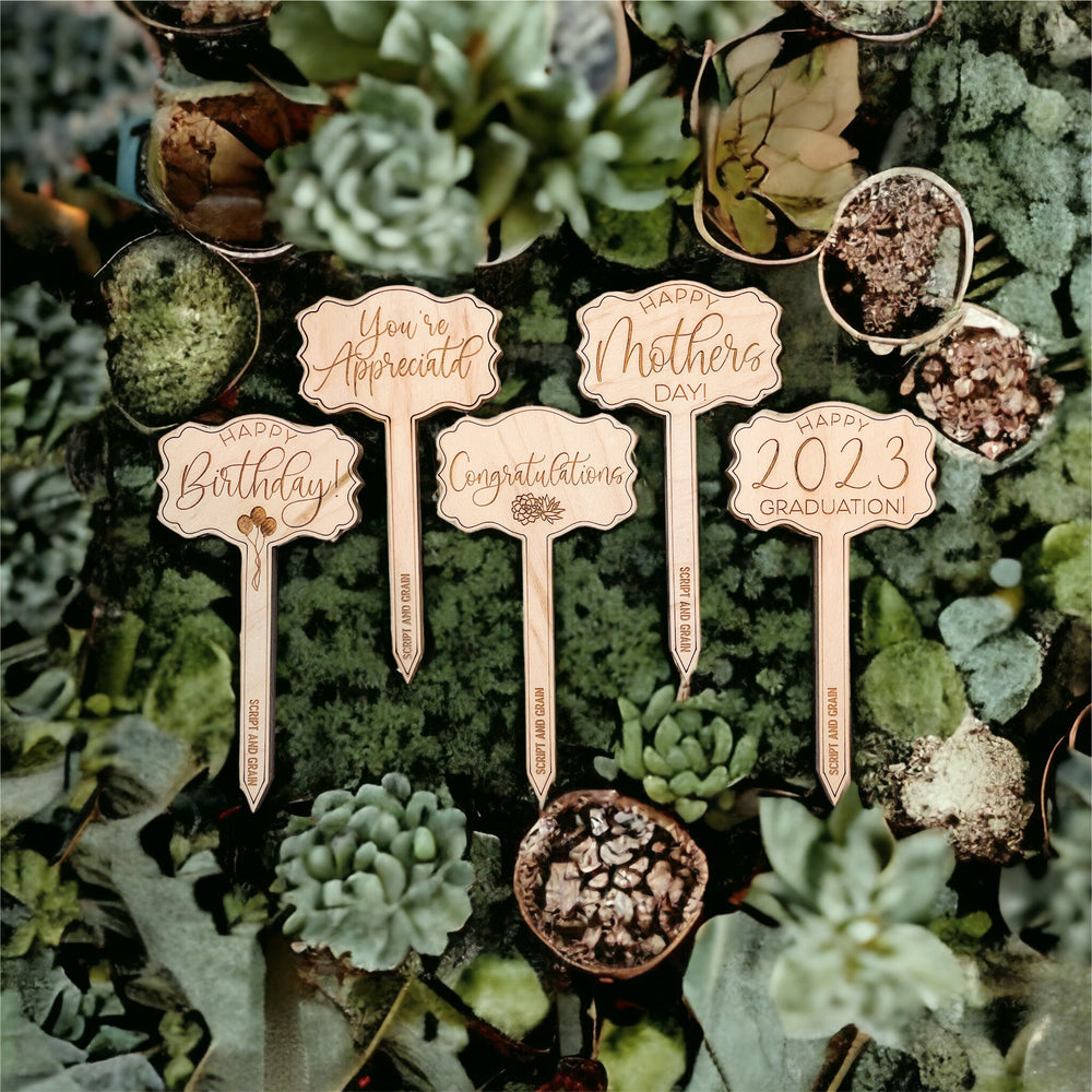 stakes for house plants Say It Planter Stakes for Succulents and House Plants Thank you for helping me grow! / Frosted Acrylic