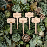 "Say It" Planter Stakes for Succulents and House Plants